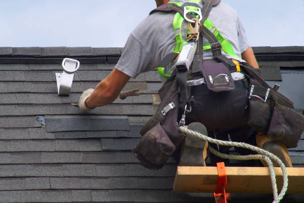 Best Siding Removal and Disposal  in Roberta, GA